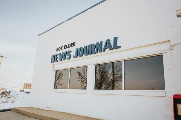 Initiatives Collaboratives : Stratégies Créatives pour Combattre la Déforestation