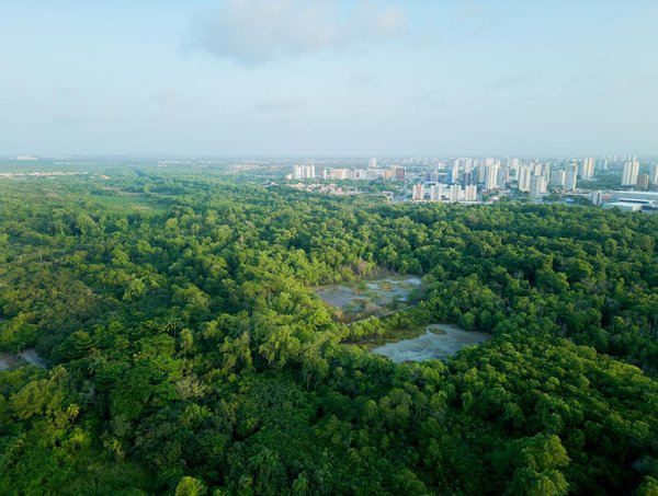 Découvrez les 5 plateformes incontournables pour vivre des concerts virtuels inoubliables