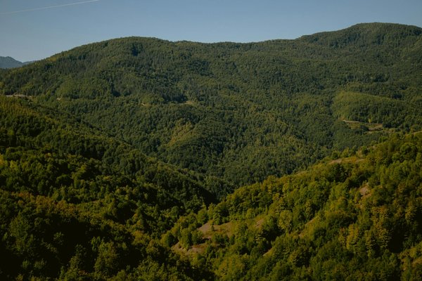 Quels défis la cybersécurité pose-t-elle dans un monde de plus en plus connecté ?